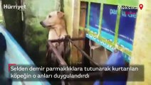 Selden kurtarılan köpeğin görüntüleri viral oldu