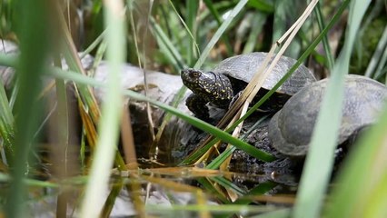 Animal Moments You Haven't Seen Before