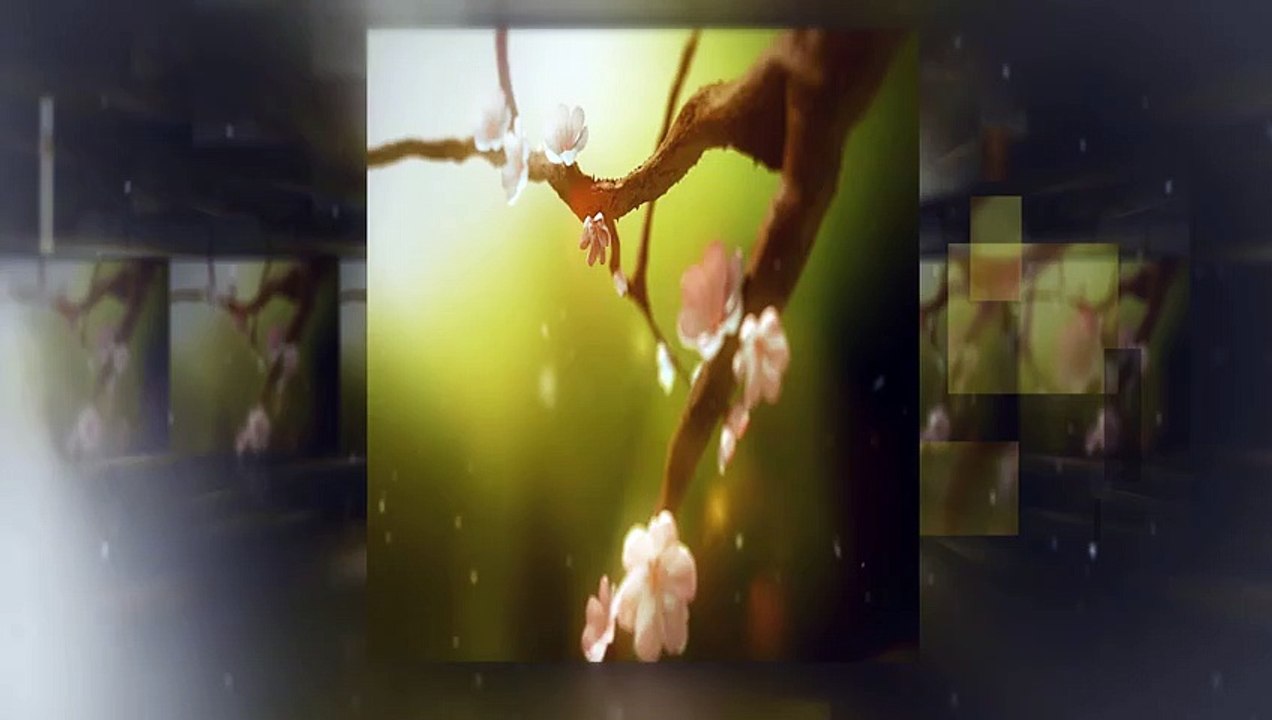 MEB ‘Okul Profilleri Değerlendirme’ projesi videosunu yayınladı