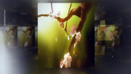 MEB ‘Okul Profilleri Değerlendirme’ projesi videosunu yayınladı