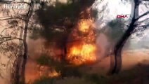 KKTC'deki yangın ODTÜ Kuzey Kıbrıs Kampüsüne sıçradı