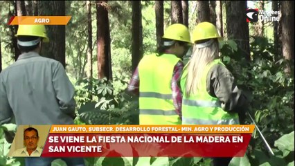 La mesa forestal tendrá su espacio en distintas zonas del territorio Misionero