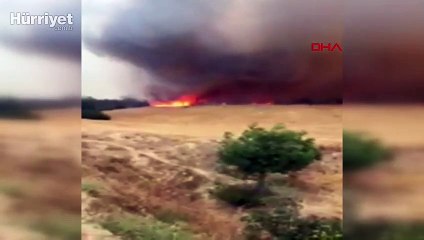 Son dakika haber... Sakarya'da orman yangını