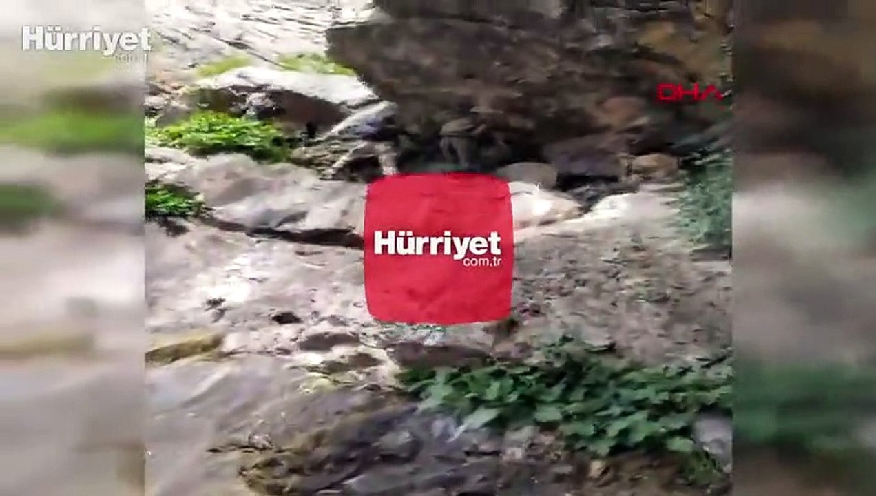 Tunceli’de “Yıldırım 4 Munzur Kutu” operasyonu başlatıldı