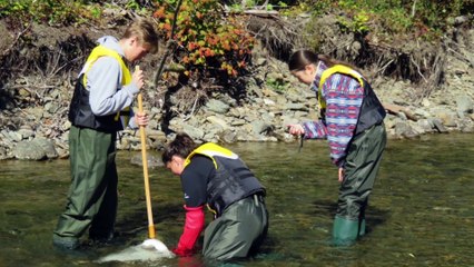 17 oct TOPO LPM conseil de l'eau ruisseau stewart eau riviere