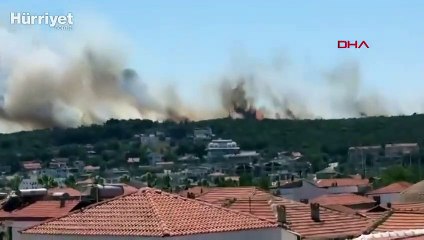 Sığacık'ta ormanlık alanda yangın