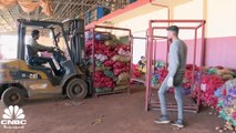 عزوف أكثر من 50% من المزارعين في لبنان عن الاستثمار في القطاع الزراعي