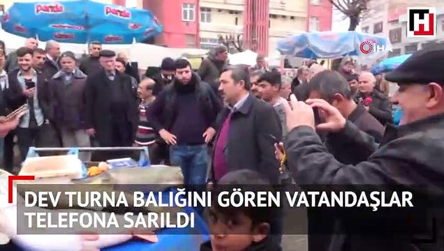 Dev turna balığını gören vatandaşlar telefona sarıldı