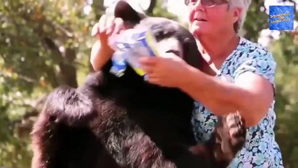 इंसान और जानवरों के बीच अजीबोगरीब दोस्ती   unbelievable friendship between animals and human