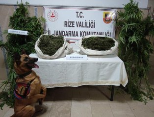 Rize haberleri... Rize'de 22 kilogram esrar ele geçirildi, 3 şüpheli yakalandı