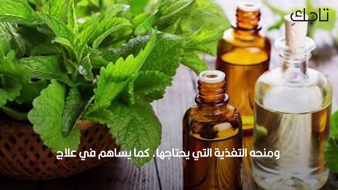 أفضل الزيوت للشعر الدهني: وداعًا للدهون الزائدة!