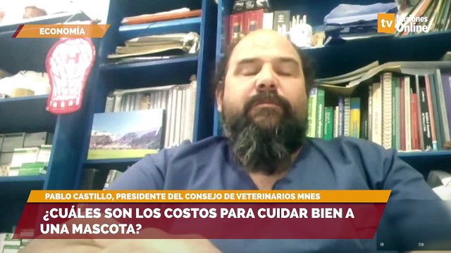 ¿Cuáles son los costos para cuidar bien a una mascota?