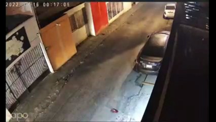 Perros asustan a un presunto ladrón y lo obligan a lanzarse de una azotea