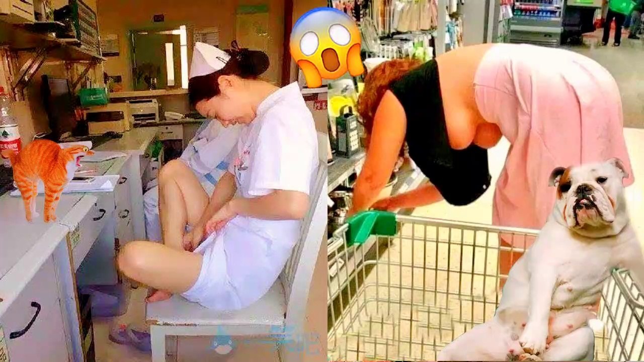 funny animal videos 2022 - part #023