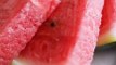 What happens if you eat watermelon seeds everyday?