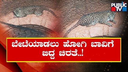 Forest Officials Rescue A Leopard From An Open Well In Karwar | Public TV