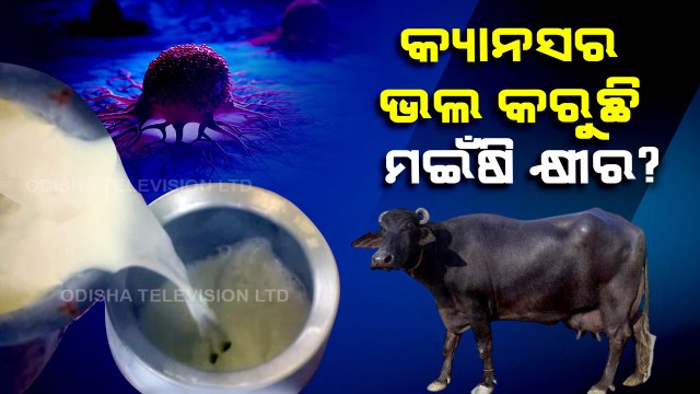 Chilika buffalo milk rakes NBAGR interest, could have life-saving properties