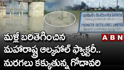 మళ్లీ బరితెగించిన మహారాష్ట్ర ఆల్కహాల్ ఫ్యాక్టరీ..నురగలు కక్కుతున్న గోదావరి | ABN Telugu