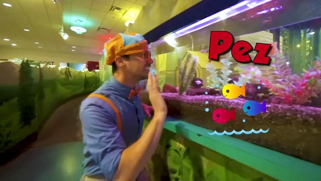 Blippi Aprende en el Museo de los Niños (Seattle's Chlidren's Museum) | Aprende con blippi