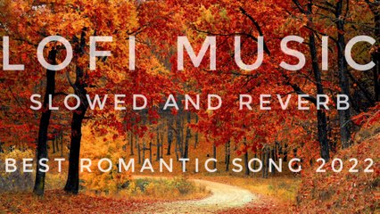 Top Lofi Songs for Relaxation & Focus 🎶