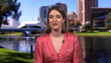 Study of NAPLAN results finds writing standards falling