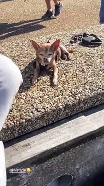 Sophie Tapie et Baptiste Germain en week-end amoureux