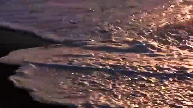 Guided Meditation To Quiet Mind I Guided Meditation For Anxiety Relief I Guided Meditation For Negative Thought I Guided Mindful Meditation