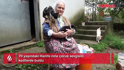 70 yaşındaki Hanife nine çocuk sevgisini kedilerde buldu