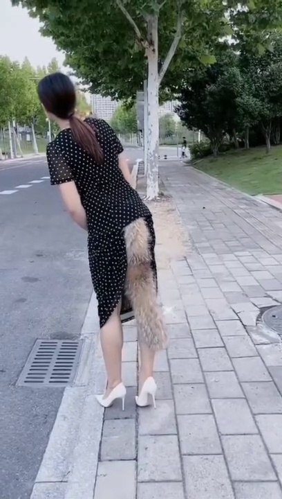 #funny videos