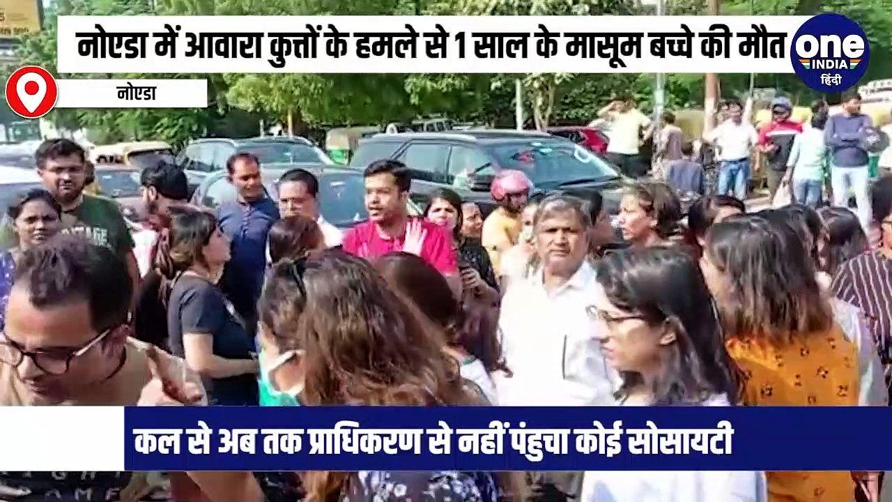 नोएडा में आवारा कुत्तों के हमले से 1 साल के मासूम बच्चे की मौत