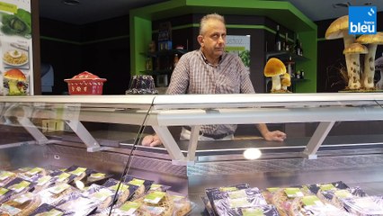 Visitez Champichoux, découvrez plein de choses sur les champignons, et cueillez-les vous-mêmes !