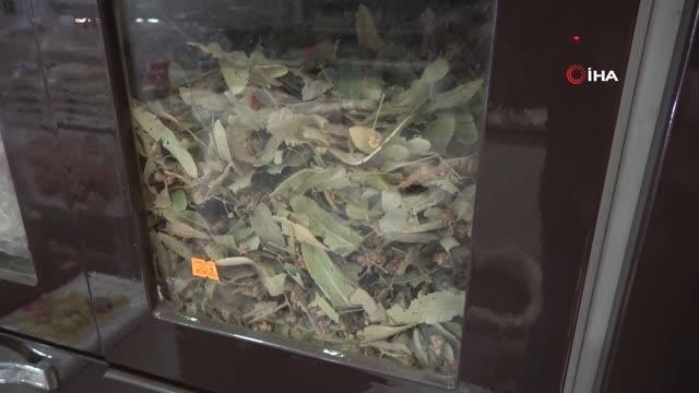 Aktardan soğuk hava tavsiyesi: Zencefil, zerdeçal, narçiçeği, kuşburnu tüketin