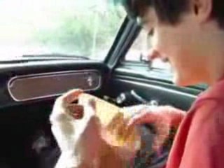 Take The Money And Run