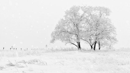 Piano Music For Relaxation | Snowing Background | Relax Music Meditation