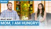 Mom, I Am Hungry! | Newbie Lesson (v) | ChinesePod