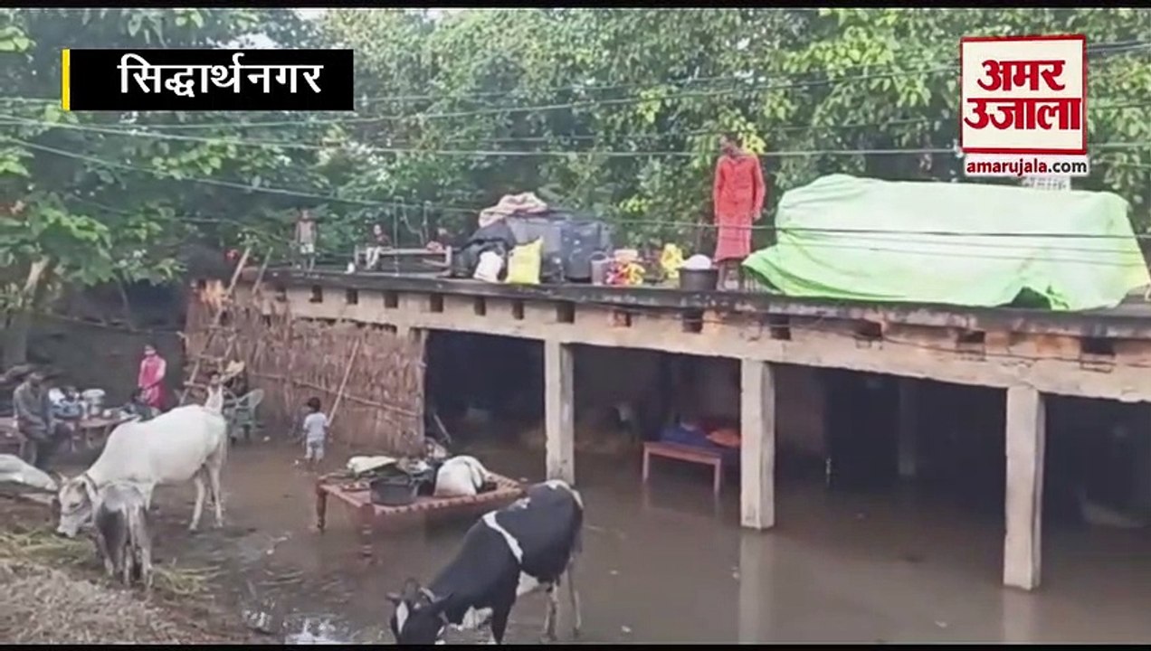 सिद्धार्थनगर में बाढ़ से अब तक नौ की मौत