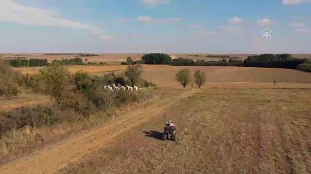 Edirne gündem haberi | Edirne'de biyolog kadın Genç Çiftçi desteğiyle arıcılık yapıyor
