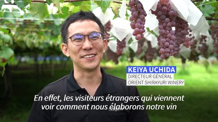 Le koshu, l'ascension d'un vin à l'âme japonaise