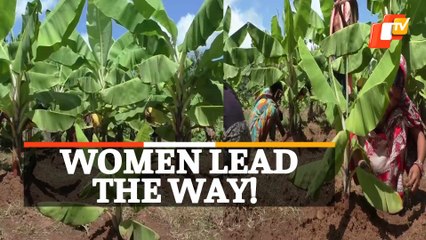 WATCH | Bhanjanagar Women Find Success After Switching To Full-Time Farming