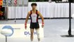 Taiwan Gymnasts Bag Gold and Silver Medals in Hungary - TaiwanPlus News