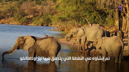 أفضل 10 وجهات سفاري أفريقية لا يمكن تفويتها