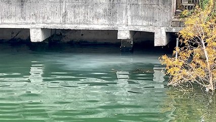 Pollution Investigation at Sun Moon Lake Tourist Hot Spot - TaiwanPlus News