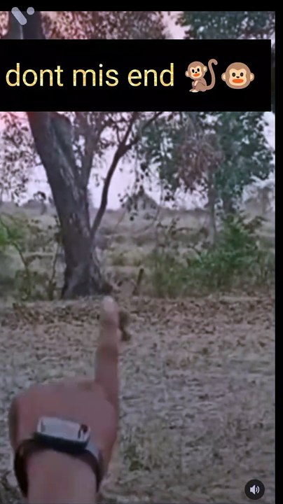 देखिए बंदर का कला #shorts