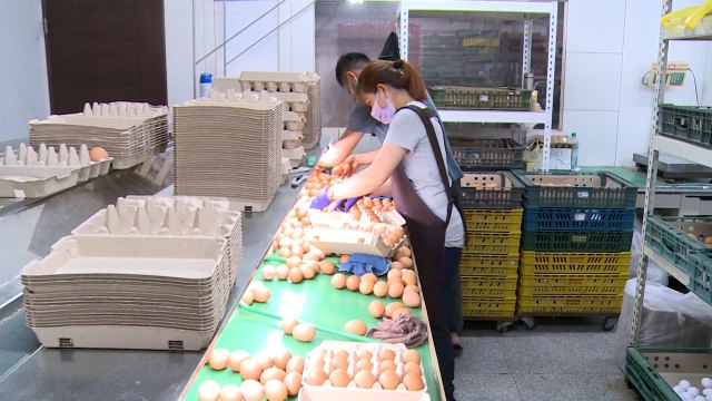 Taiwan Improves Egg Supply Chain Transparency Platform as Prices Soar - TaiwanPlus News