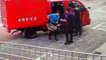 Cops ‘Arrest’ 4 Birds Blocking Traffic in Southern Taiwan - TaiwanPlus News