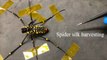 Taiwan Scientists Learn From Spiders to Make Fiber-Optic Biosensor - TaiwanPlus News