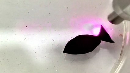 China’s Microplastic-Eating Fish Robot - TaiwanPlus News