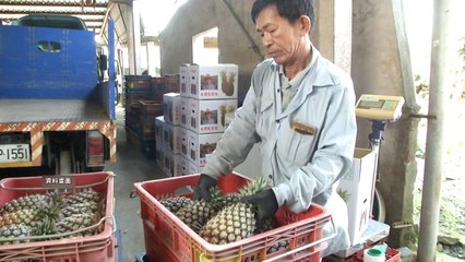 China Bans More Food From Taiwan - TaiwanPlus News