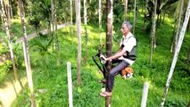 Indian Tree Climbing Scooter - TaiwanPlus News