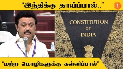 Stalin | "தாய்மொழியை காத்திட மீண்டும் தமிழ்நாடு நிற்கும் நிலை ஏற்பட்டுள்ளது"